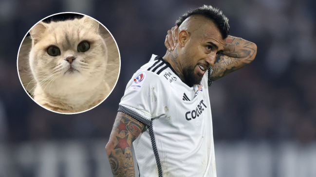 Arturo Vidal ofreció recompensa en búsqueda de su gato perdido 