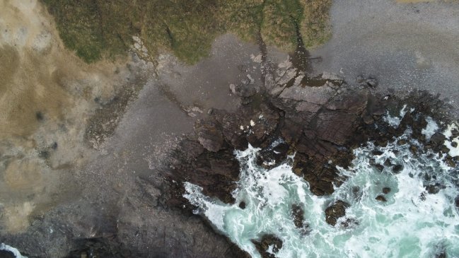 Antofagasta: Polémica por instalación de ramadas cerca de humedal urbano