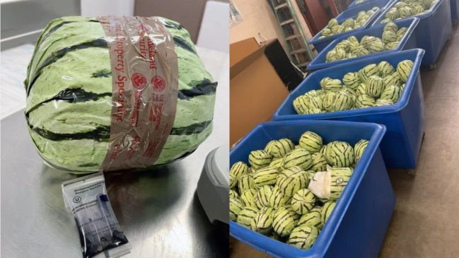Incautan más de $4 mil millones en metanfetamina oculta en sandías falsas en EEUU