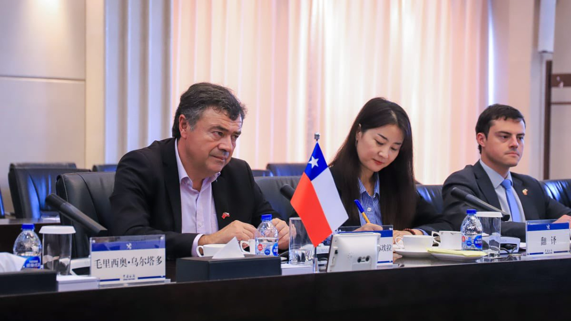 Chile espera aumentar exportaciones de carnes y frutas a China