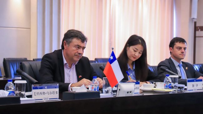 Chile espera aumentar exportaciones de carnes y frutas a China