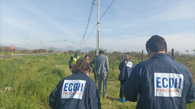 Presunto cráneo humano fue hallado en medio de pastizales en Colina