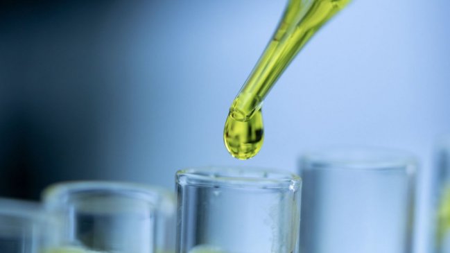 Contraloría detalló numerosas irregularidades del acuerdo entre Fundación Daya y municipios