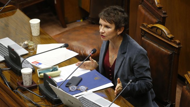 Tohá: Delitos en La Pintana y San Bernardo son 