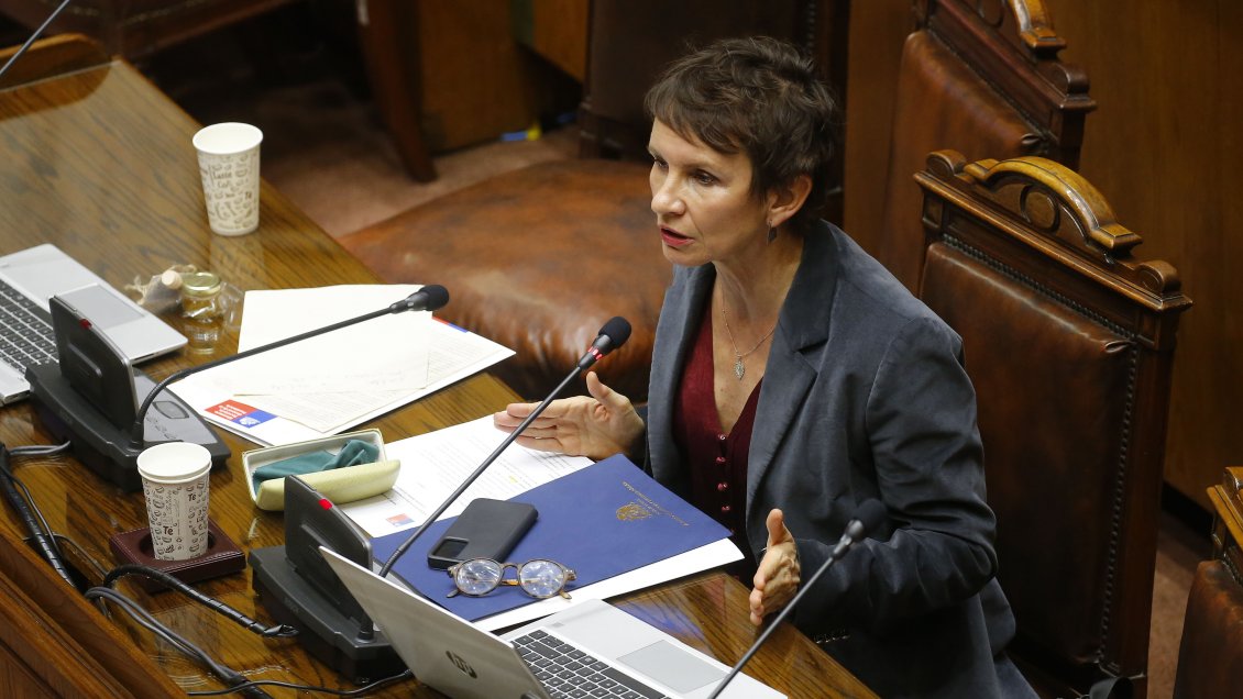 Tohá: Delitos en La Pintana y San Bernardo son 