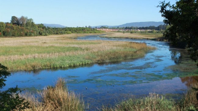 Chile constituyó su primer Comité Comunal de Humedales