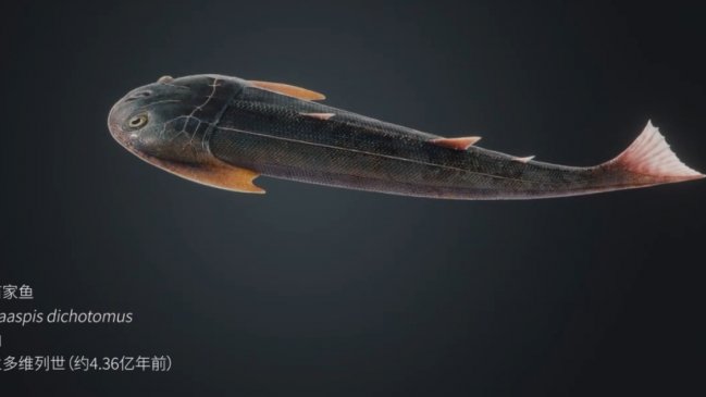 China halla fósil de pez que podría ser clave en evolución de las extremidades terrestres