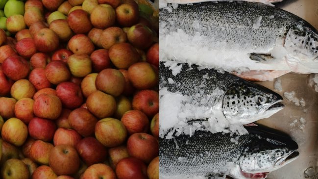 Paro portuario en EEUU pone en peligro exportaciones chilenas