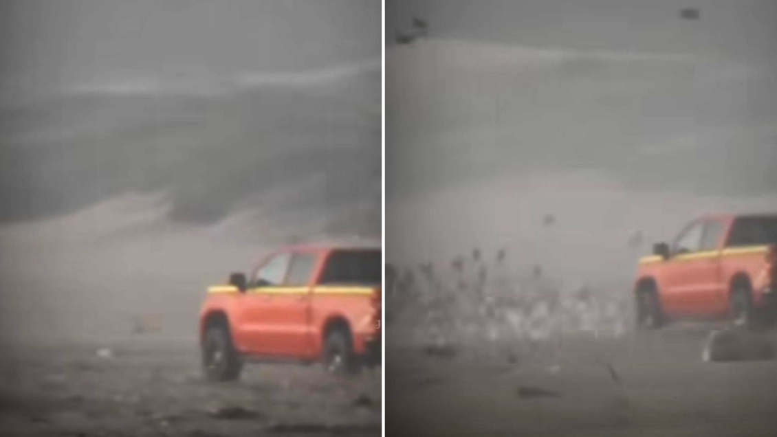 Conductor que atropelló a aves en Ritoque fue detenido y formalizado