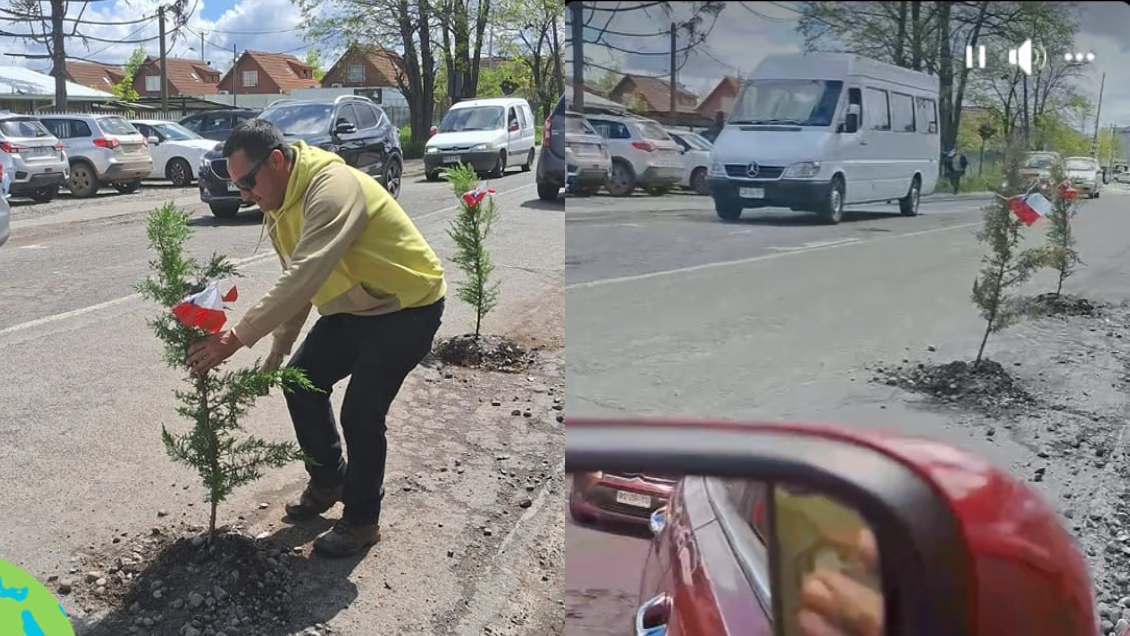 Hombre plantó árboles en baches para protestar por el mal estado de las calles