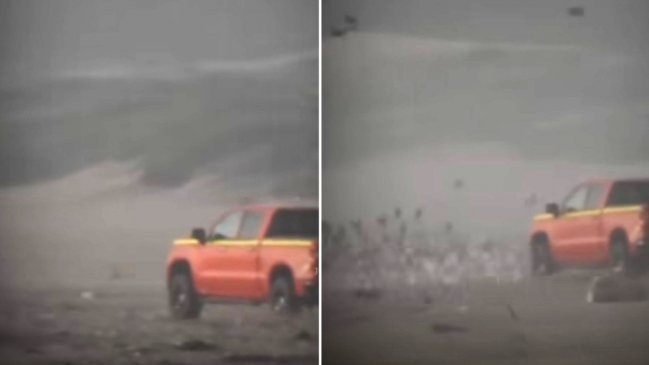 Conductor que atropelló a aves en Ritoque fue detenido y formalizado