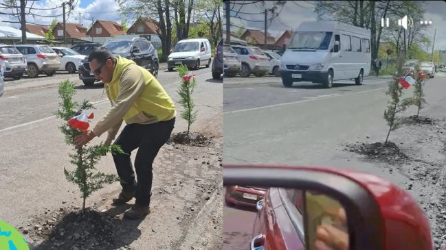 Hombre plantó árboles en baches para protestar por el mal estado de las calles