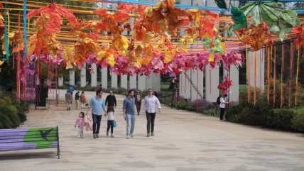 Así es la instalación artística 