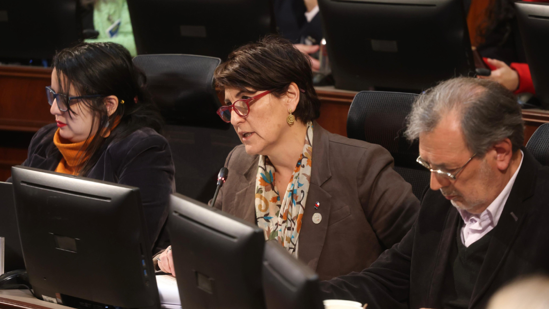 Crisis presupuestaria: Minsal y Dipres expusieron ante el Congreso