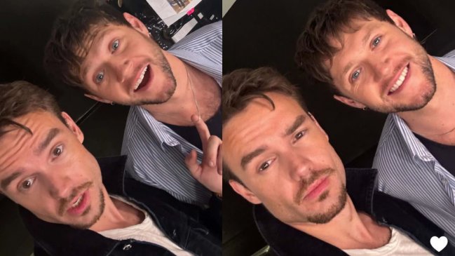 Niall Horan relató último encuentro con Liam Payne en emotivo mensaje