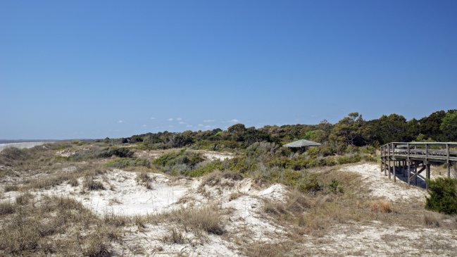 Siete personas murieron tras derrumbe de muelle en Georgia durante fiesta antiesclavista
