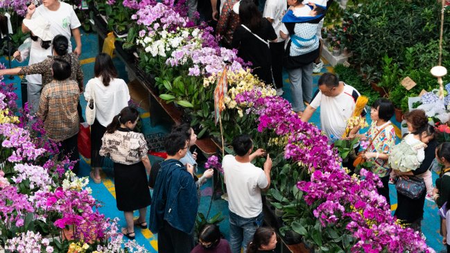 Industria de flores prospera en Dounan de China