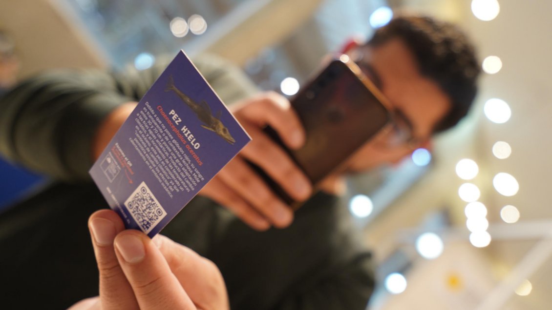 Científicos utilizan realidad aumentada para dar a conocer animales de la Antártica