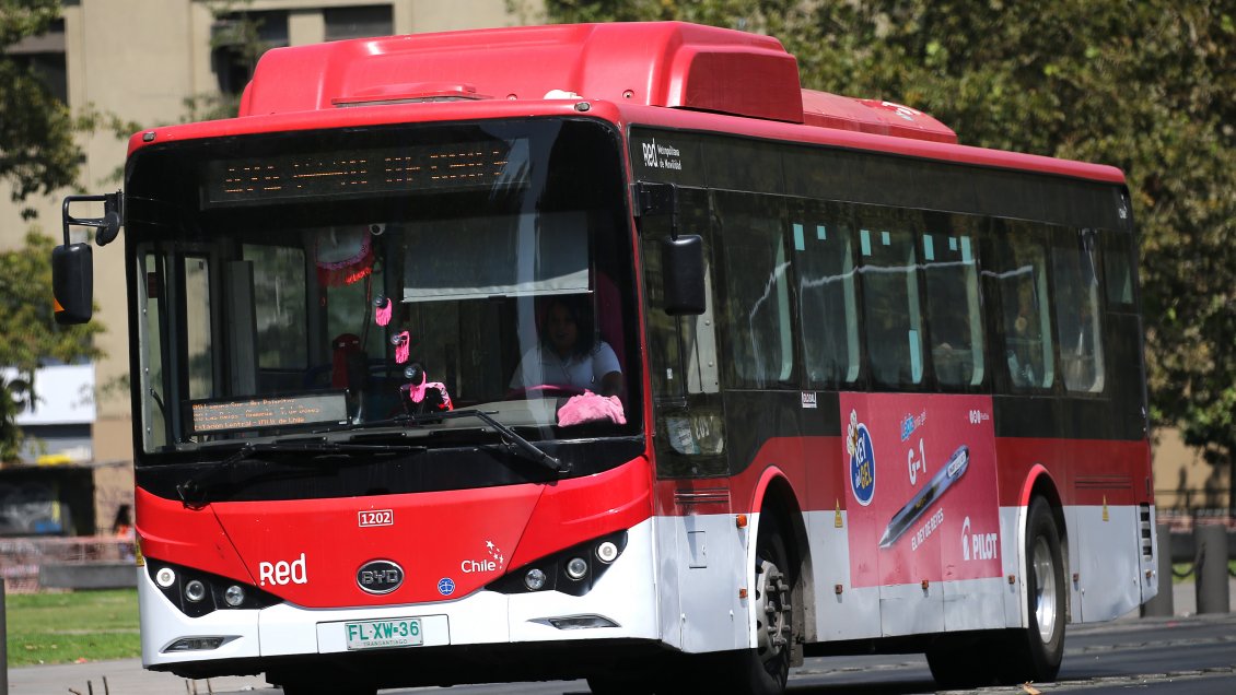 Hombre murió atropellado por microbús tras riña con el chofer en San Bernardo