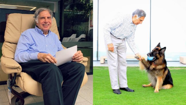 Magnate dejó millonaria herencia a su perro para 