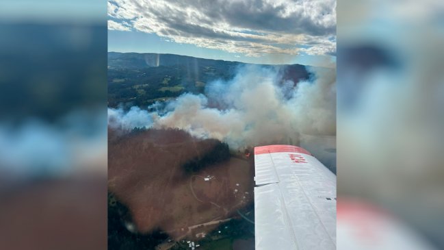 Controlado el incendio forestal en Cholchol