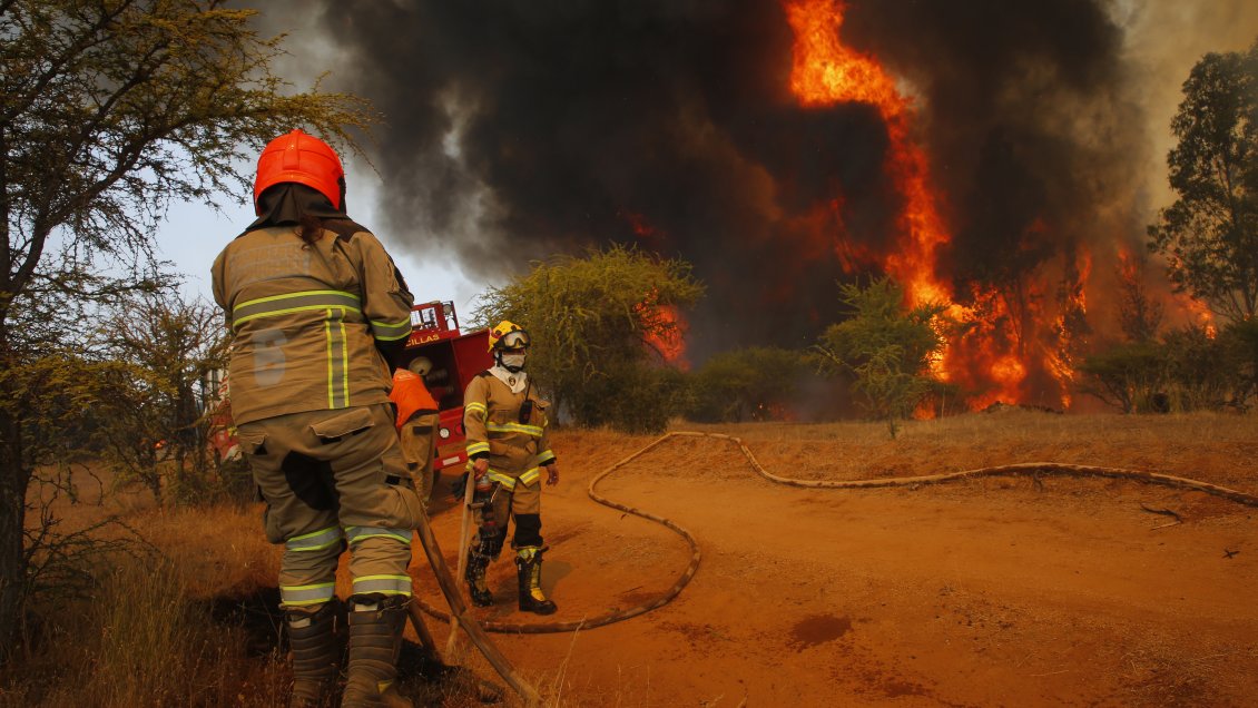Senapred decretó alerta roja en Hijuelas por incendio forestal