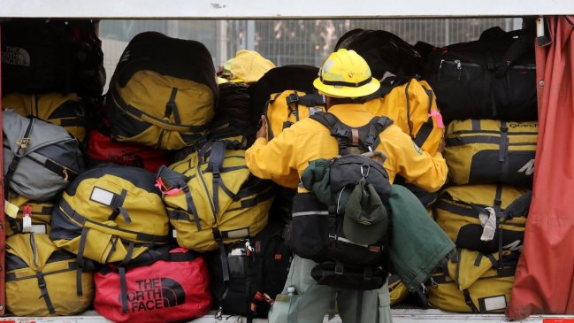 Directora de Conaf por 