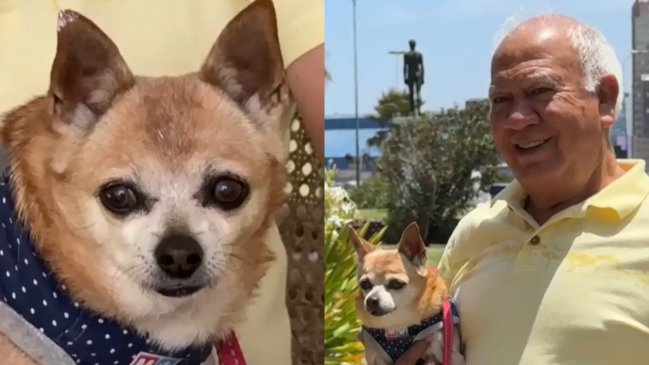 Hombre pagó $12 millones en multas por vivir con su perro en edificio de Antofagasta