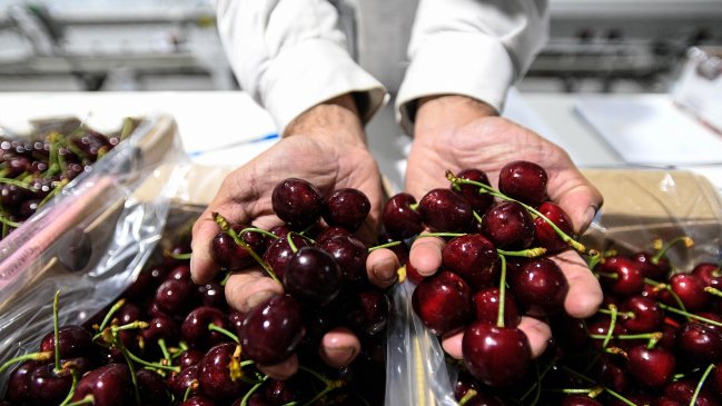 Aerolínea fortalece el vínculo comercial entre China y Chile