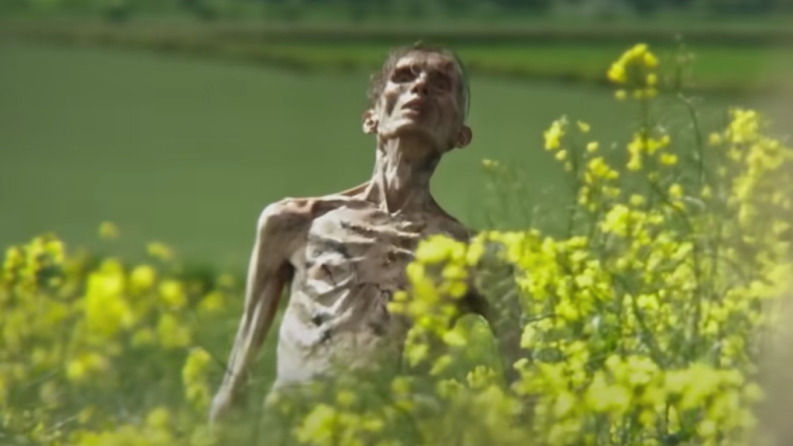 Cillian Murphy sorprende como zombie en el trailer de 