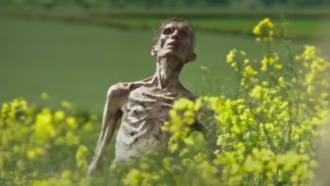 Cillian Murphy sorprende como zombie en el trailer de 