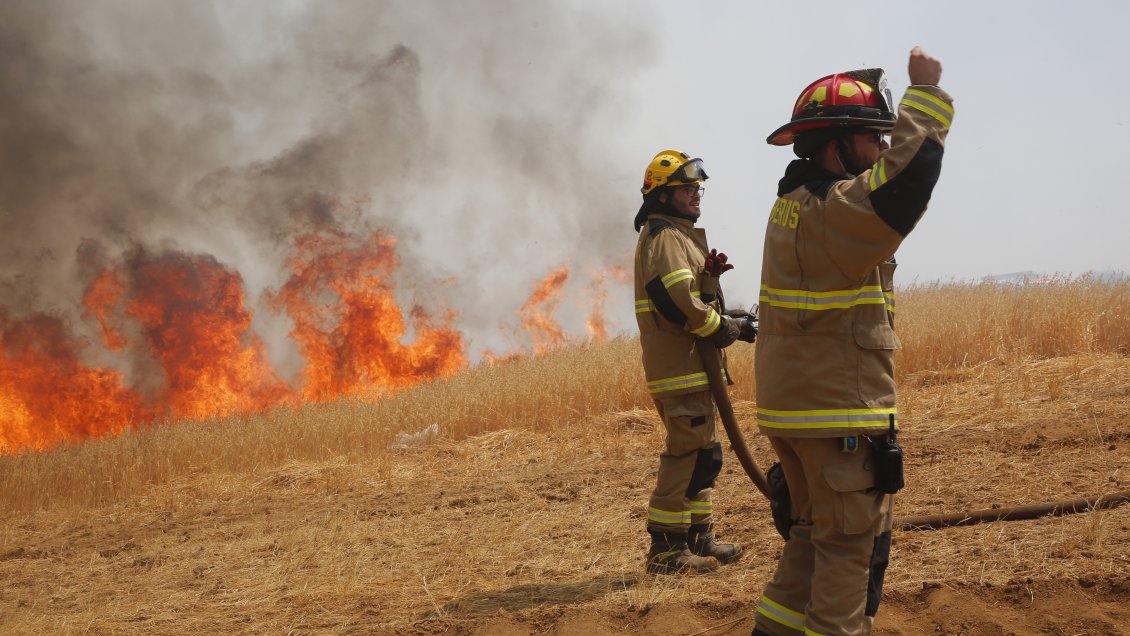 Un herido por incendio forestal en Litueche: Más de 500 hectáreas consumidas
