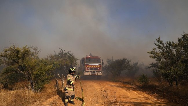 Continúa alerta roja en Melipilla y Padre Hurtado por incendio forestal