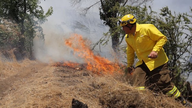 Alerta roja para Lampa por avance de incendio forestal