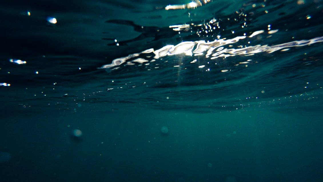 Estudio analiza efectos de antiguas emisiones masivas de carbono en la química oceánica