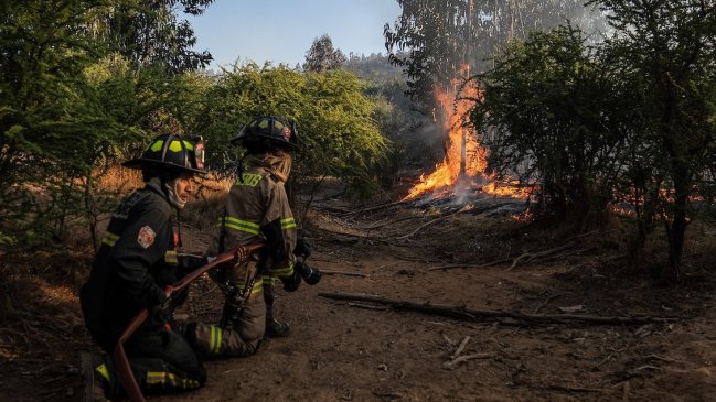 Se mantiene alerta roja en Los Álamos: Incendio forestal ha consumido 500 hectáreas