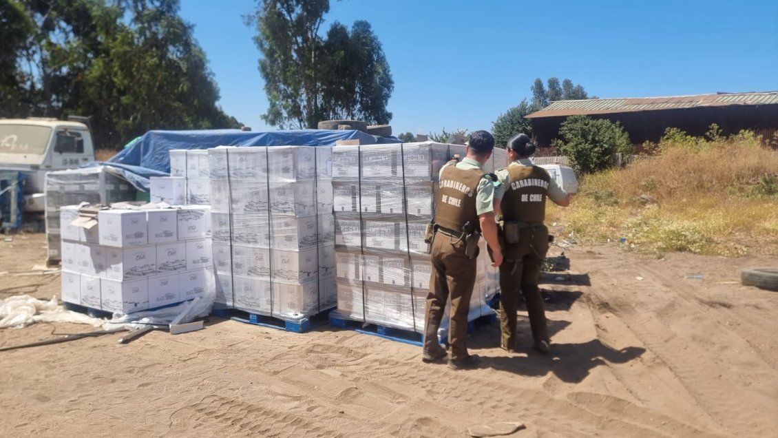 Cartagena: Recuperan 240 millones de pesos en vinos y decomisan dos camiones con patentes falsas