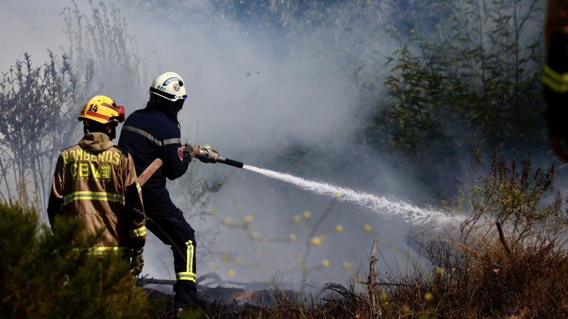 Quilicura y Lampa están bajo alerta roja por incendio forestal
