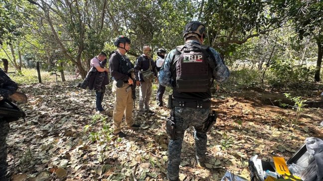 Hallan al menos 15 cadáveres en fosas clandestinas en el sur de México
