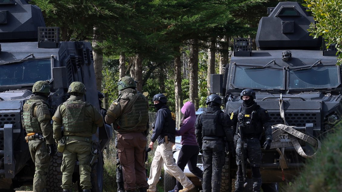 PDI incautó más de 200 plantas de marihuana en comunidad mapuche en Ercilla