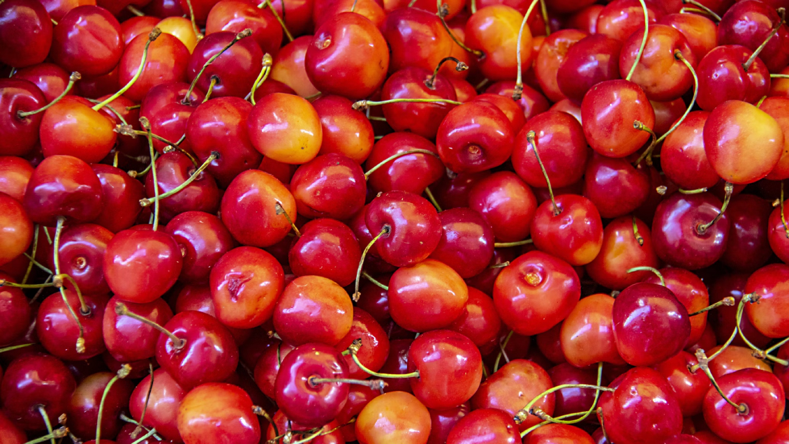 Cerezas chilenas: históricas exportaciones derrumban su precio en China