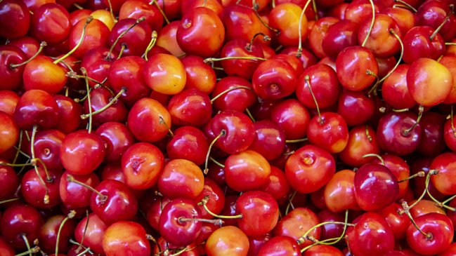 Cerezas chilenas: históricas exportaciones derrumban su precio en China