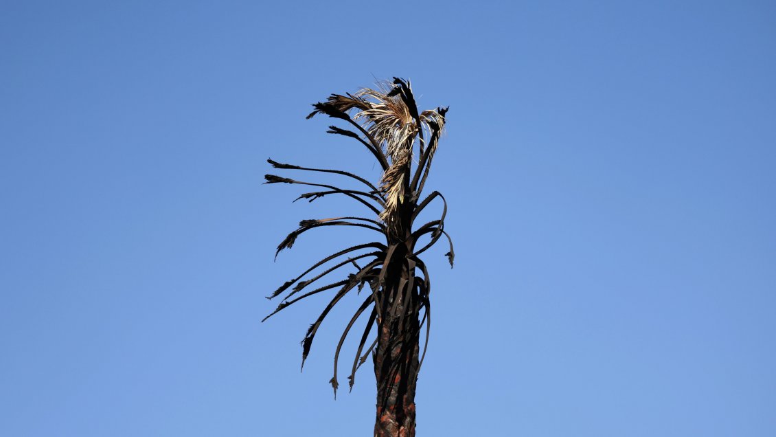 California enfrenta un nuevo incendio en plena alerta por fuertes vientos