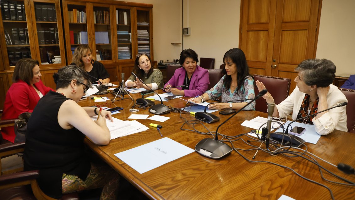 Reforma previsional: Parlamentarias buscan bajar límite de años para acceder a bono de garantía