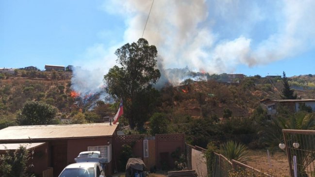 Villa Alemana: Prisión preventiva para presunto autor de incendio forestal