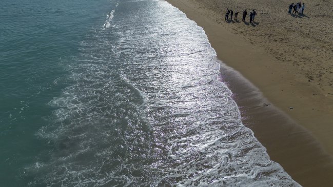 Penco: Hombre murió ahogado en una playa no apta para el baño