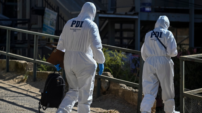 Estaba alimentando a perros callejeros: Adulto mayor fue asesinado en Viña del Mar