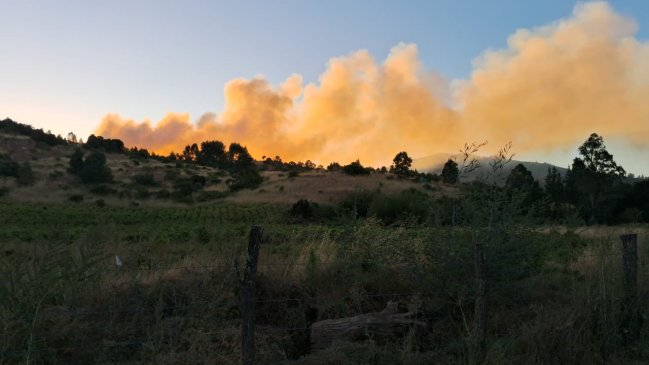 Al menos tres casas quemadas: Declaran alerta roja en Rancagua por incendio forestal