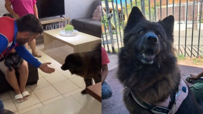 El emotivo reencuentro de familia con su perrita perdida hace cuatro años