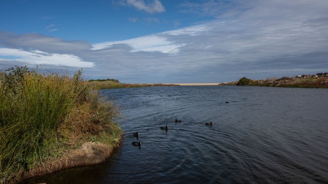 Día Mundial de los Humedales: ¿Qué tan importantes son para el ecosistema?